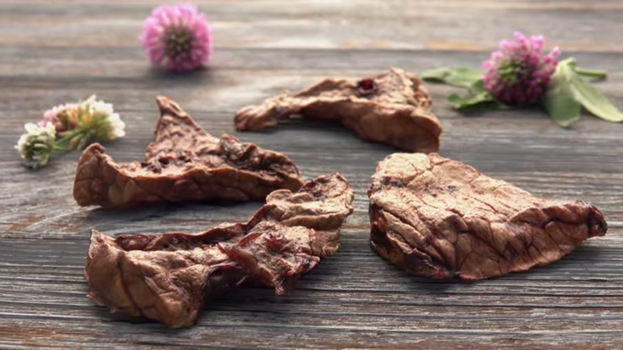 Best Reasons to Shop Turkey Liver Dog Treats for Your Pet’s Daily Diet